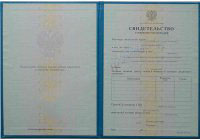 Herhangi bir yılın mesleki yeterlilik sertifikası