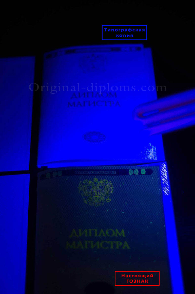 Matbaa ve Devlet standartlarında basılmış orijinal resmi Diploma arasındaki farklar