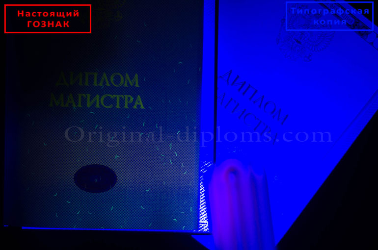 Matbaa ve Devlet standartlarında basılmış orijinal resmi Diploma arasındaki farklar