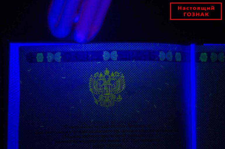 Matbaa ve Devlet standartlarında basılmış orijinal resmi Diploma arasındaki farklar