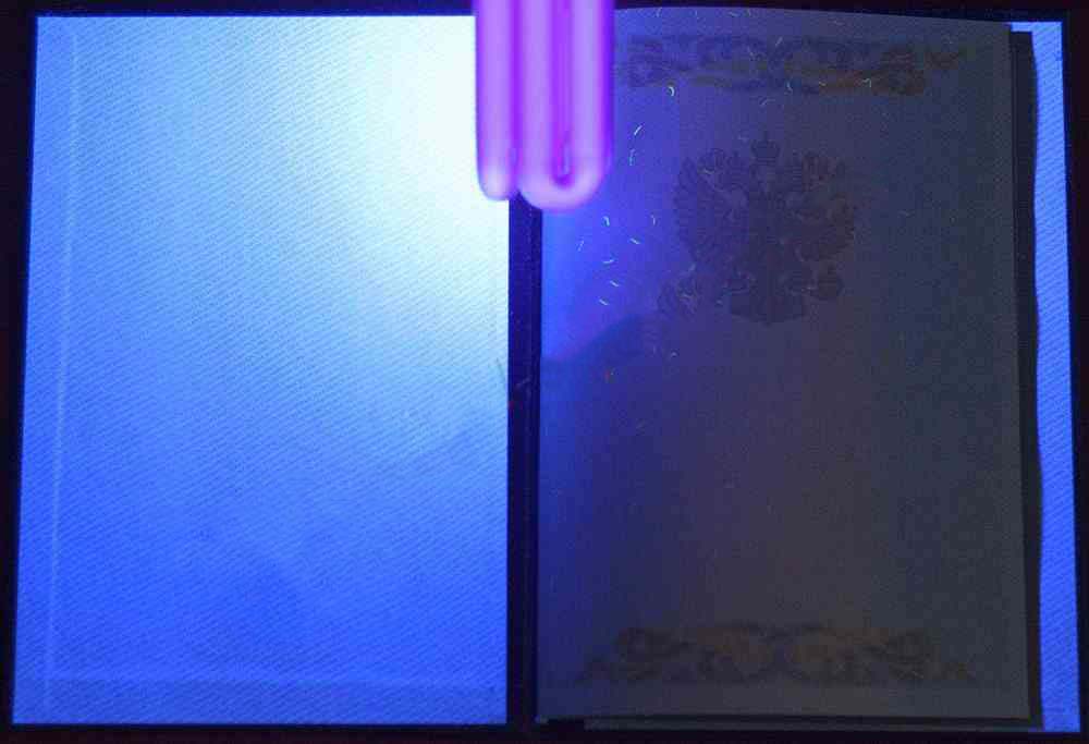 Lisans diploması 2004-2009