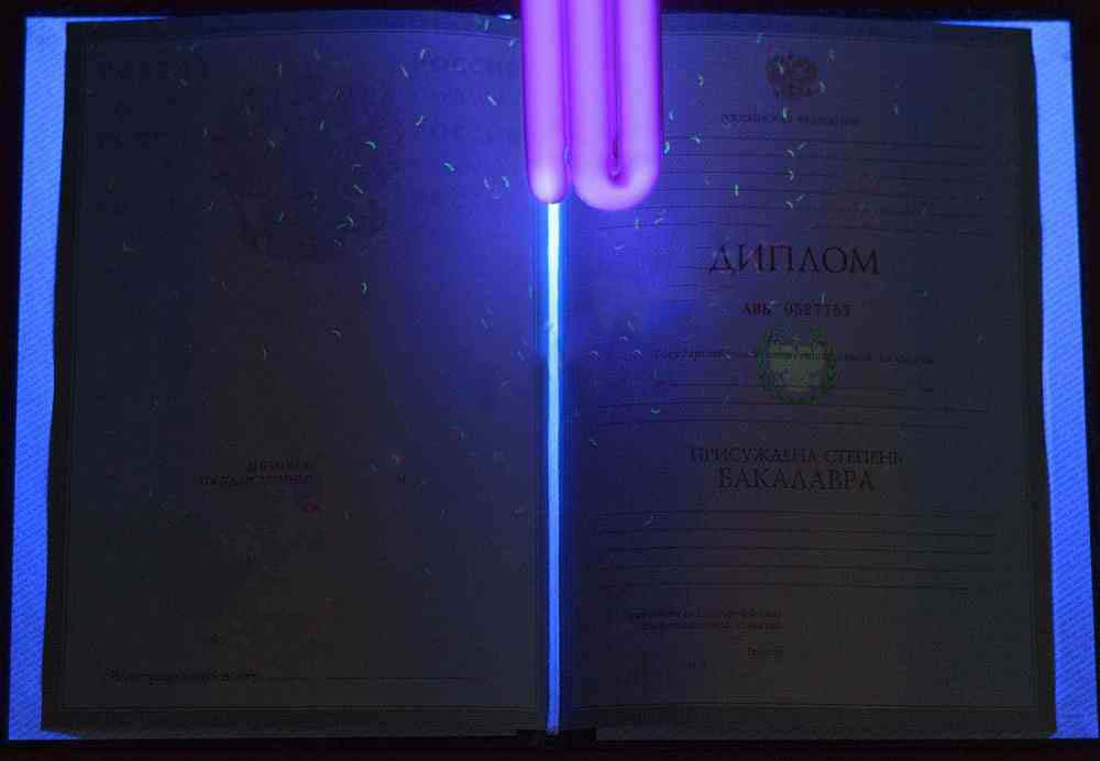 Lisans diploması 2004-2009