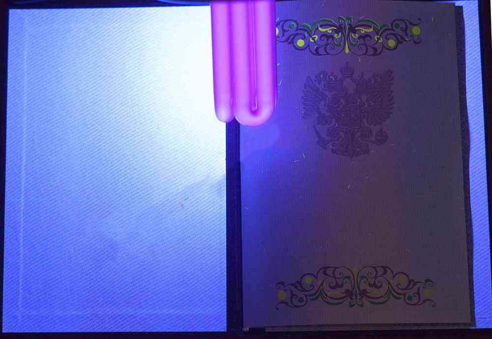 Lisans diploması 2011-2013