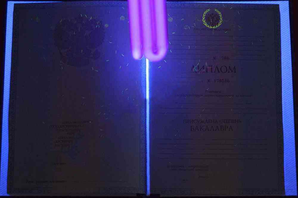 Lisans diploması 2011-2013