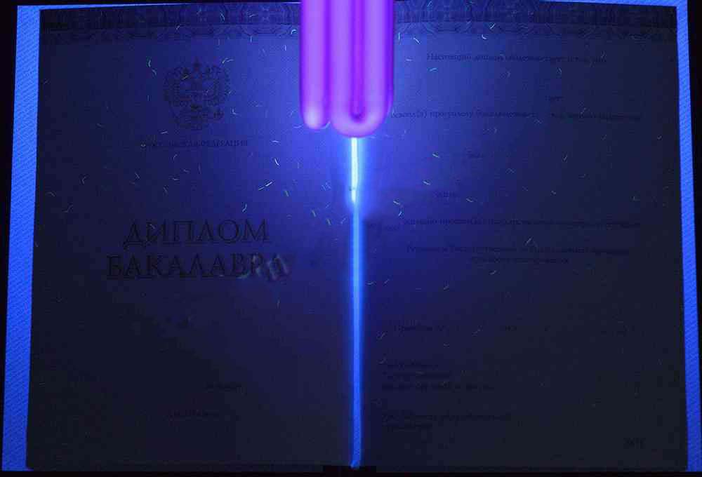 Lisans diploması 2014-2026