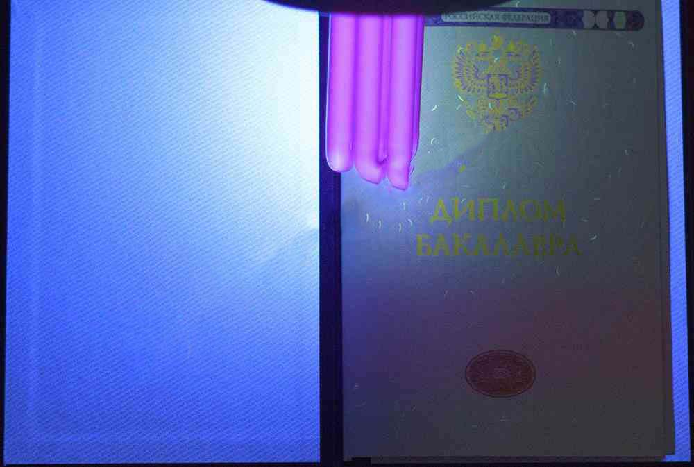 Lisans diploması 2014-2026