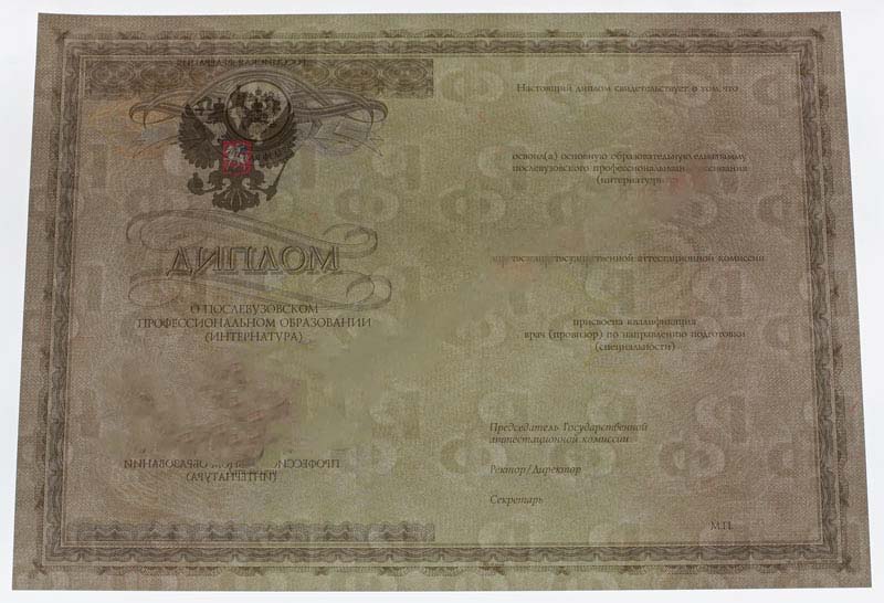 Staj sertifikası herhangi biri