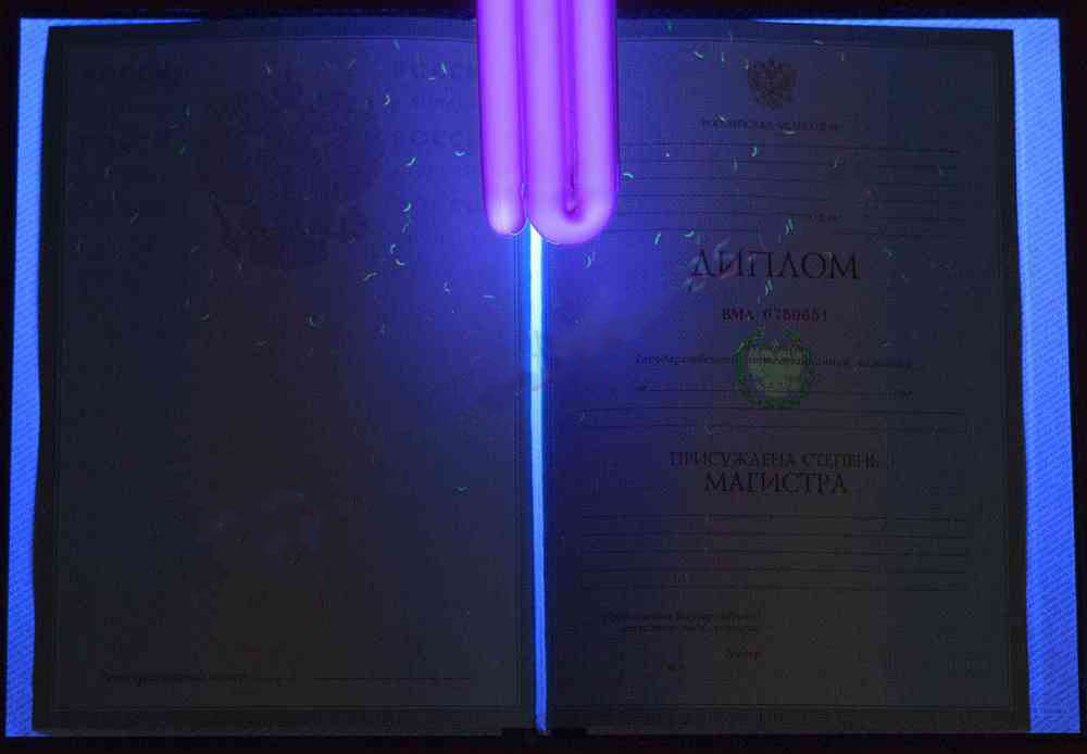 Yüksek lisans diploması 2004-2009