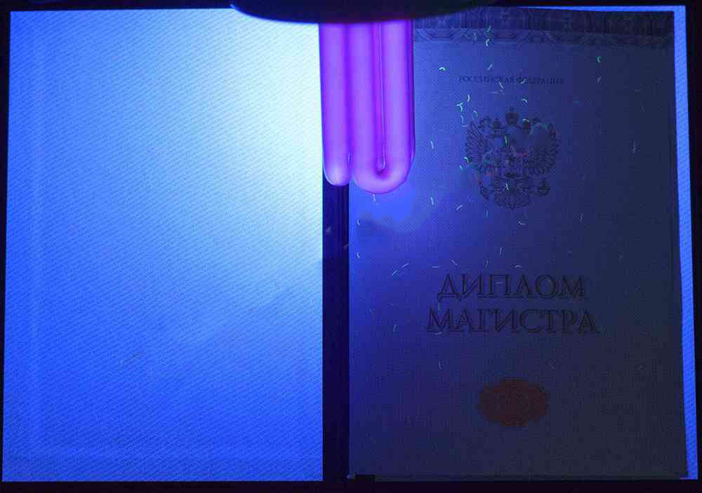 Yüksek lisans diploması 2014-2026