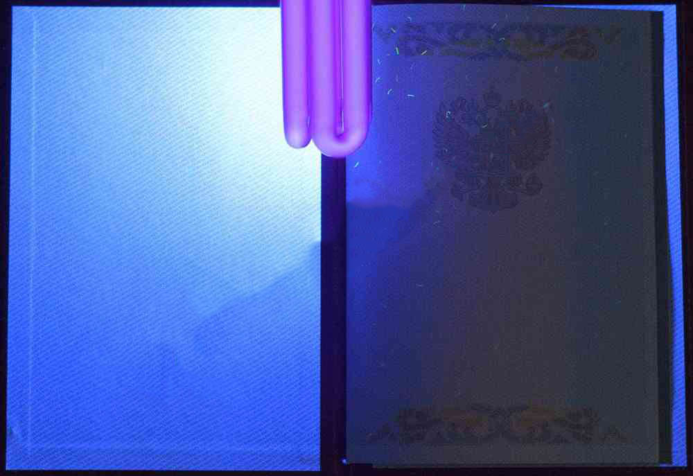 KIRMIZI uzman diploması (MÜKEMMEL) 2004-2009