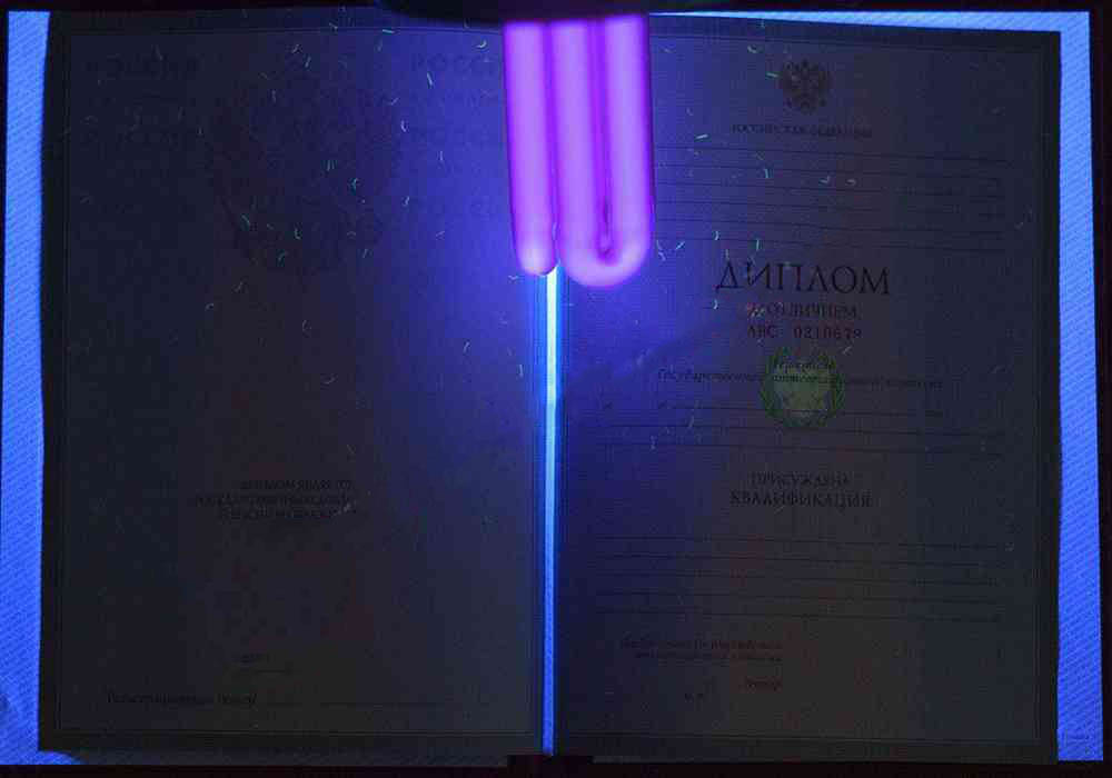 KIRMIZI uzman diploması (MÜKEMMEL) 2004-2009