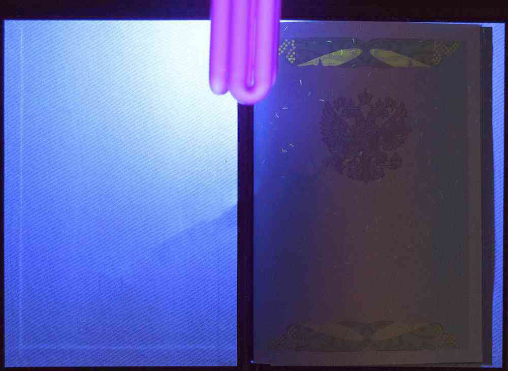 KIRMIZI uzman diploması (MÜKEMMEL) 2009 - 2011