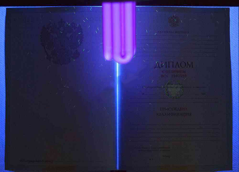 KIRMIZI uzman diploması (MÜKEMMEL) 2009 - 2011